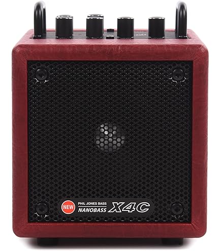 Amazon.com: Phil Jones Bass BG-120 Bass Cub Pro 2 x 5-inch 120